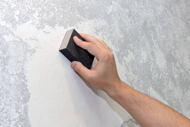 Best Asbestos and Lead Testing During Mold Inspection  in Mequon, WI