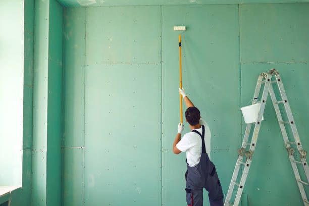 Best Water Damage & Mold Remediation  in Mequon, WI