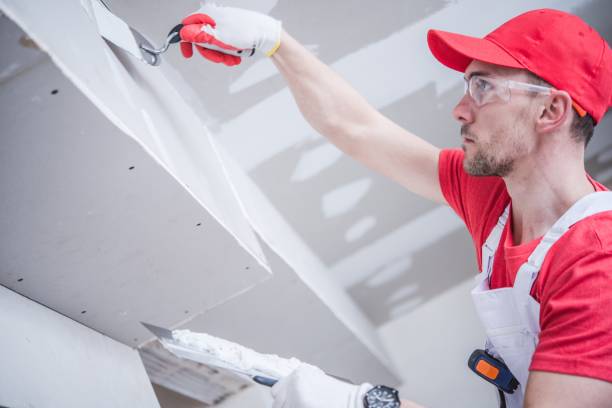 Best Air Quality Testing for Mold Spores  in Mequon, WI