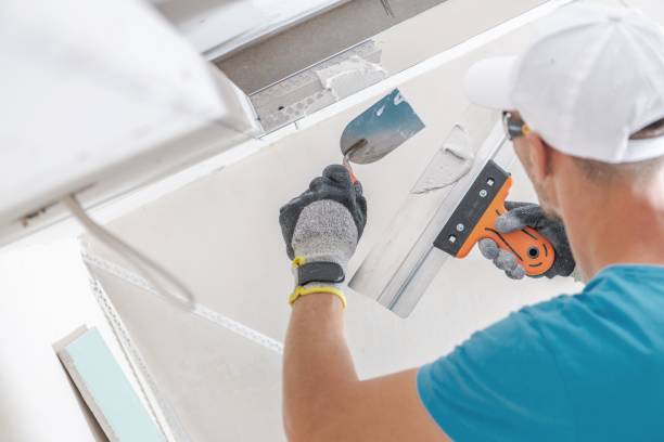 Best Mold Documentation for Insurance Claims  in Mequon, WI